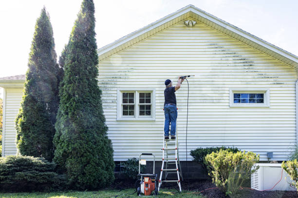 Why Choose Our Certified Pressure Washing Experts for Your Project Needs in Fanning Springs, FL?